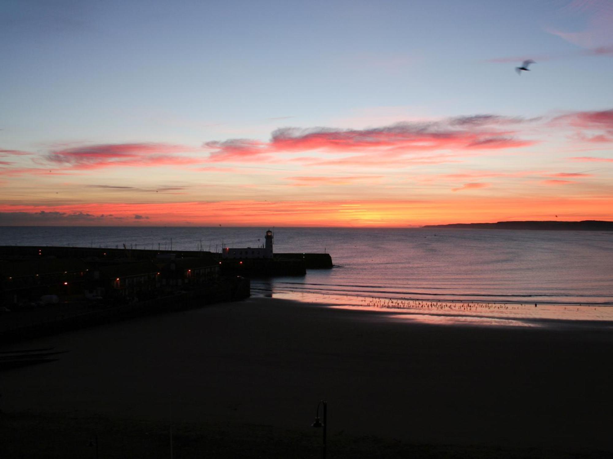 Waimea Apartments - Sea Views South Bay Scarborough Free Parking Eksteriør bilde